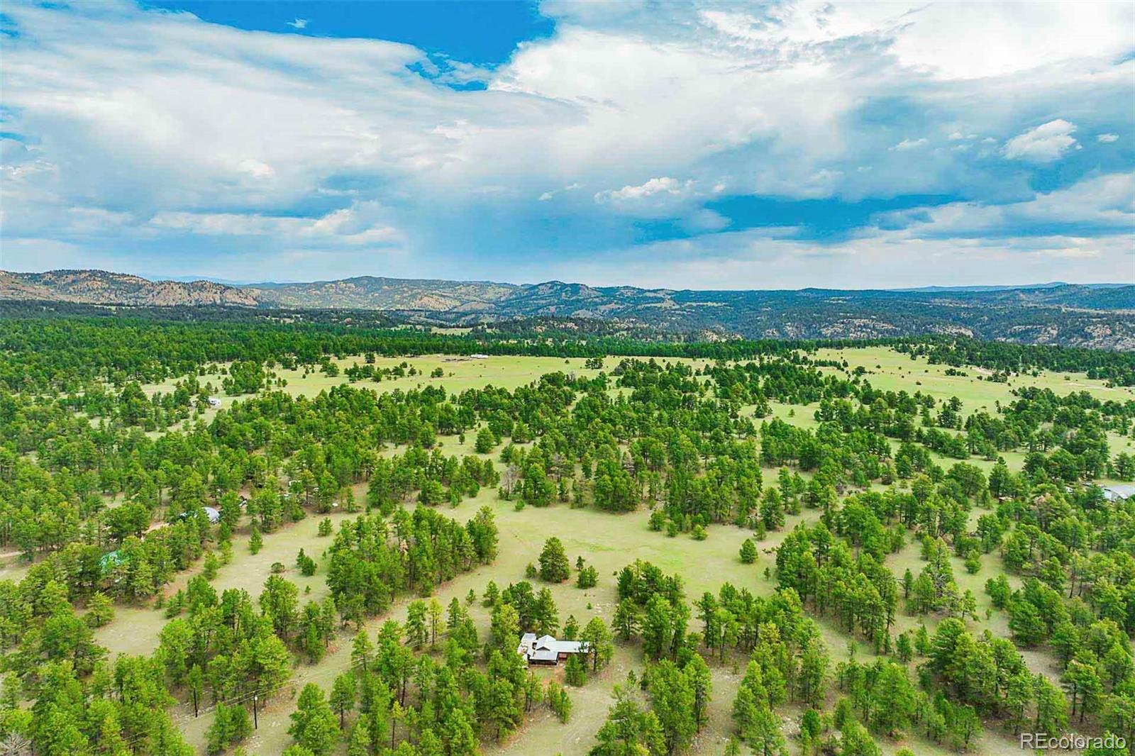 MLS Image #46 for 1190  doe valley road,guffey, Colorado