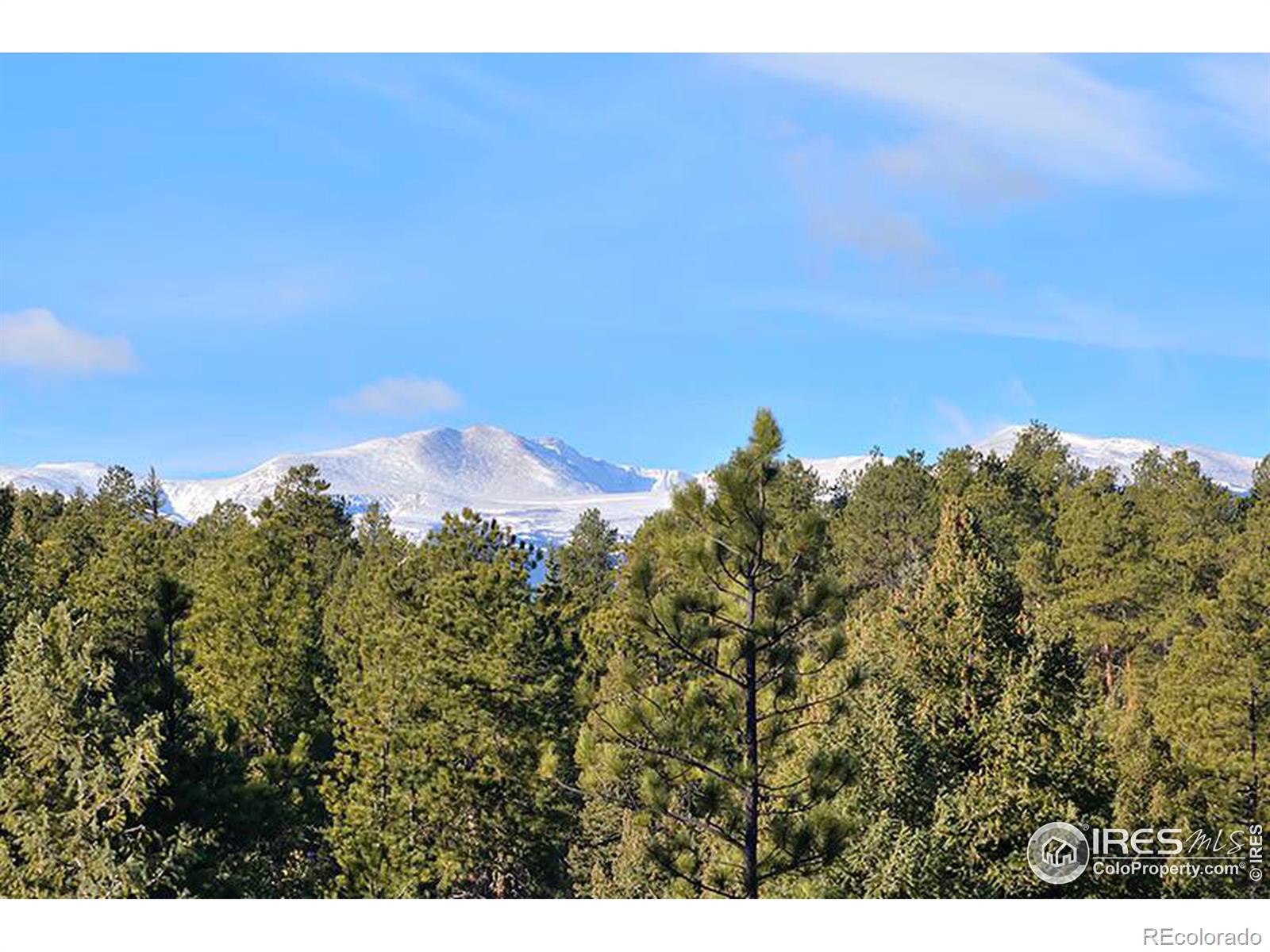 MLS Image #12 for 33895  columbine circle,evergreen, Colorado