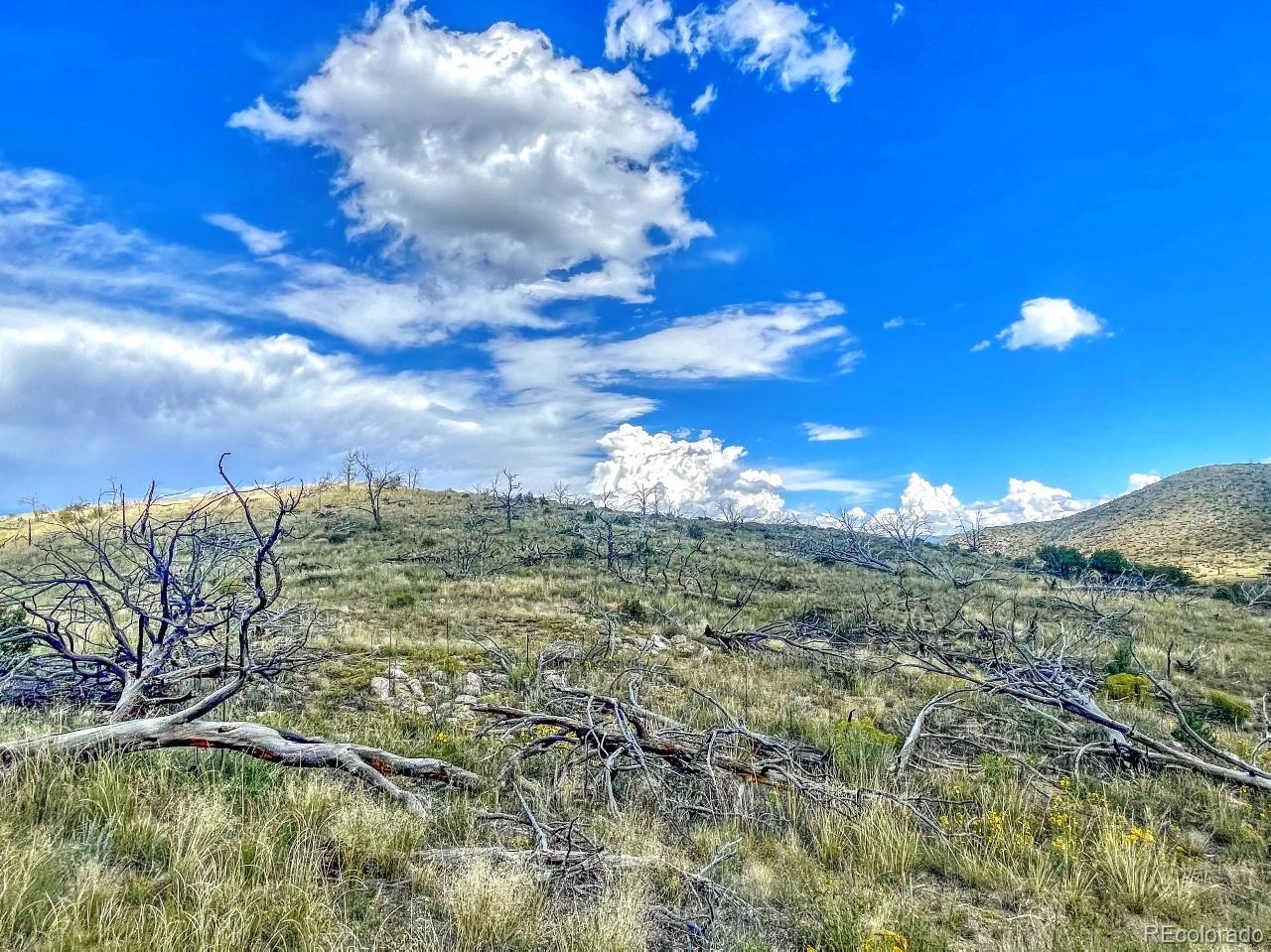 MLS Image #27 for 488  31st trail - 2.59 ac ,texas creek, Colorado