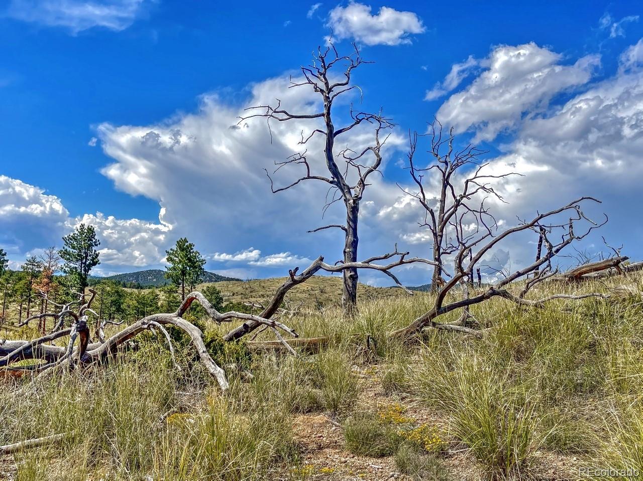 MLS Image #29 for 488  31st trail - 2.59 ac ,texas creek, Colorado