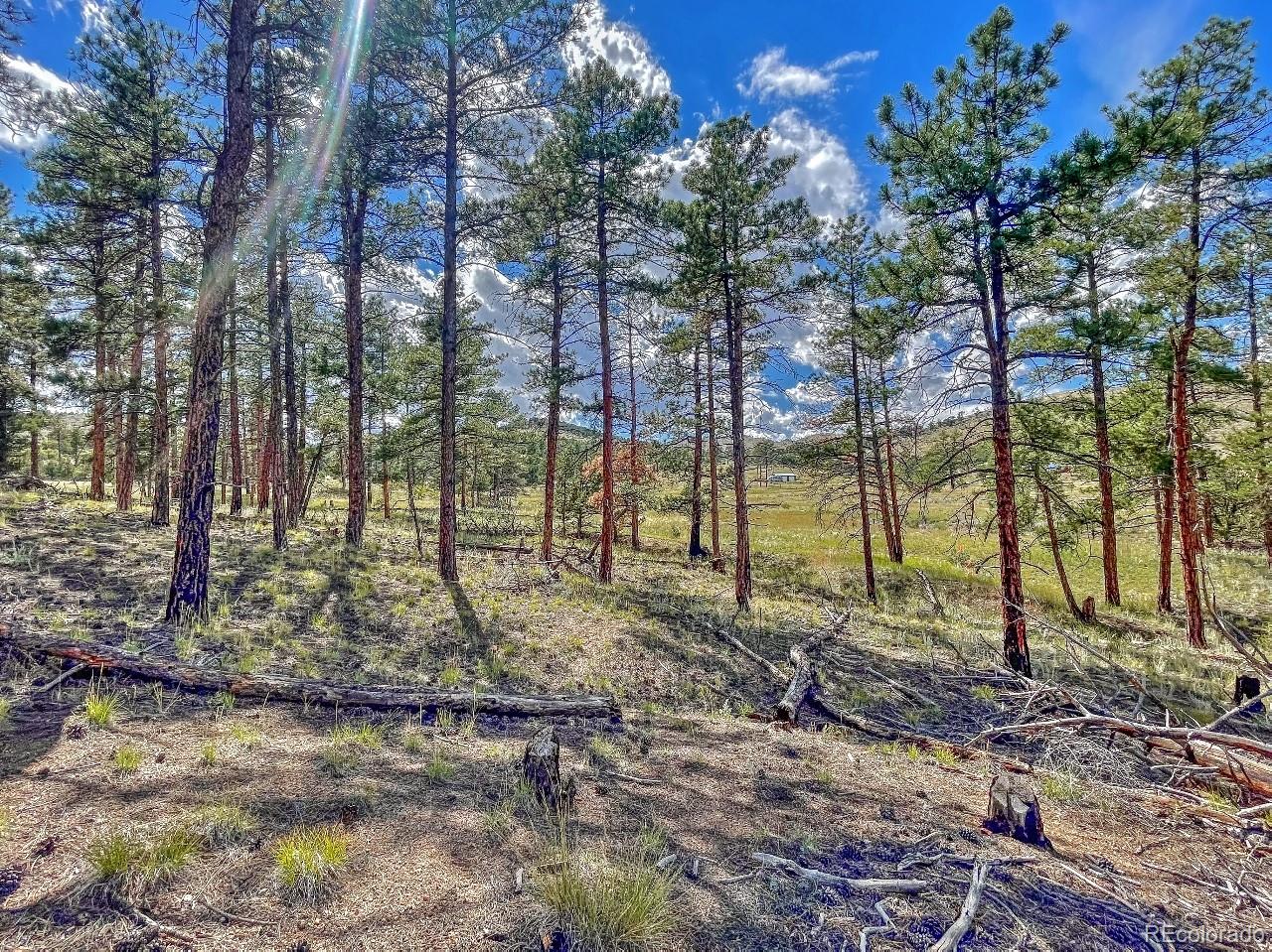 MLS Image #30 for 488  31st trail - 2.59 ac ,texas creek, Colorado