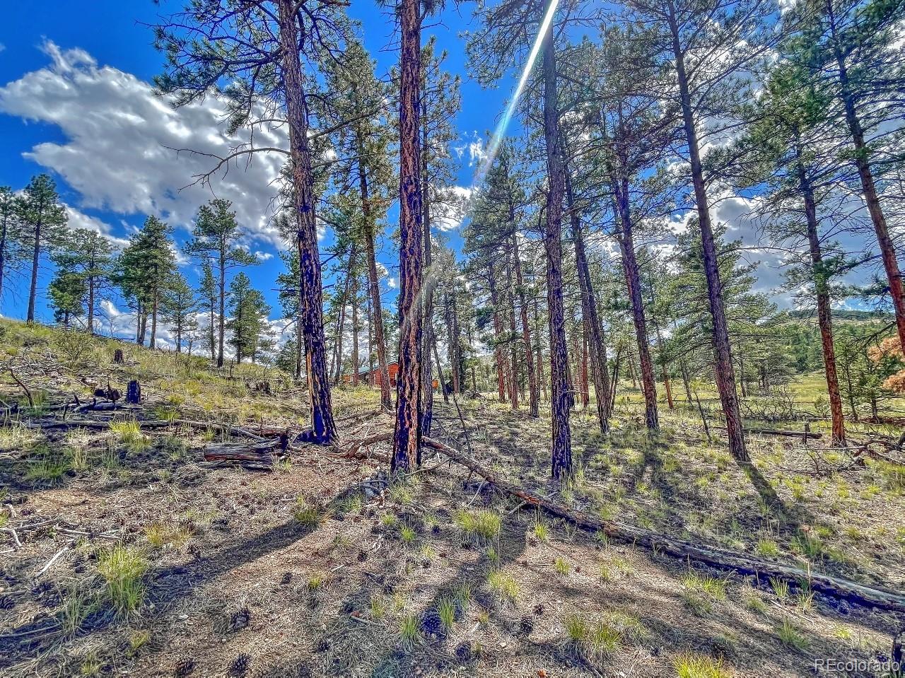 MLS Image #31 for 488  31st trail - 2.59 ac ,texas creek, Colorado