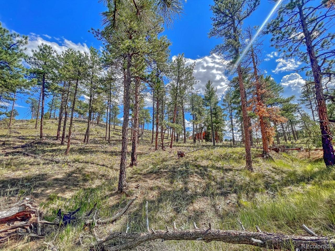 MLS Image #32 for 488  31st trail - 2.59 ac ,texas creek, Colorado