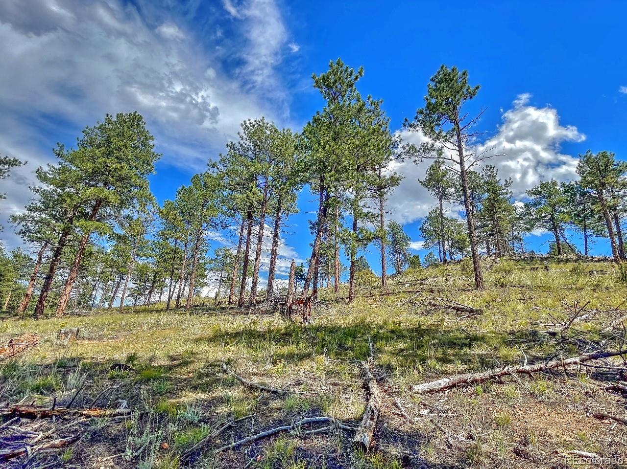 MLS Image #33 for 488  31st trail - 2.59 ac ,texas creek, Colorado