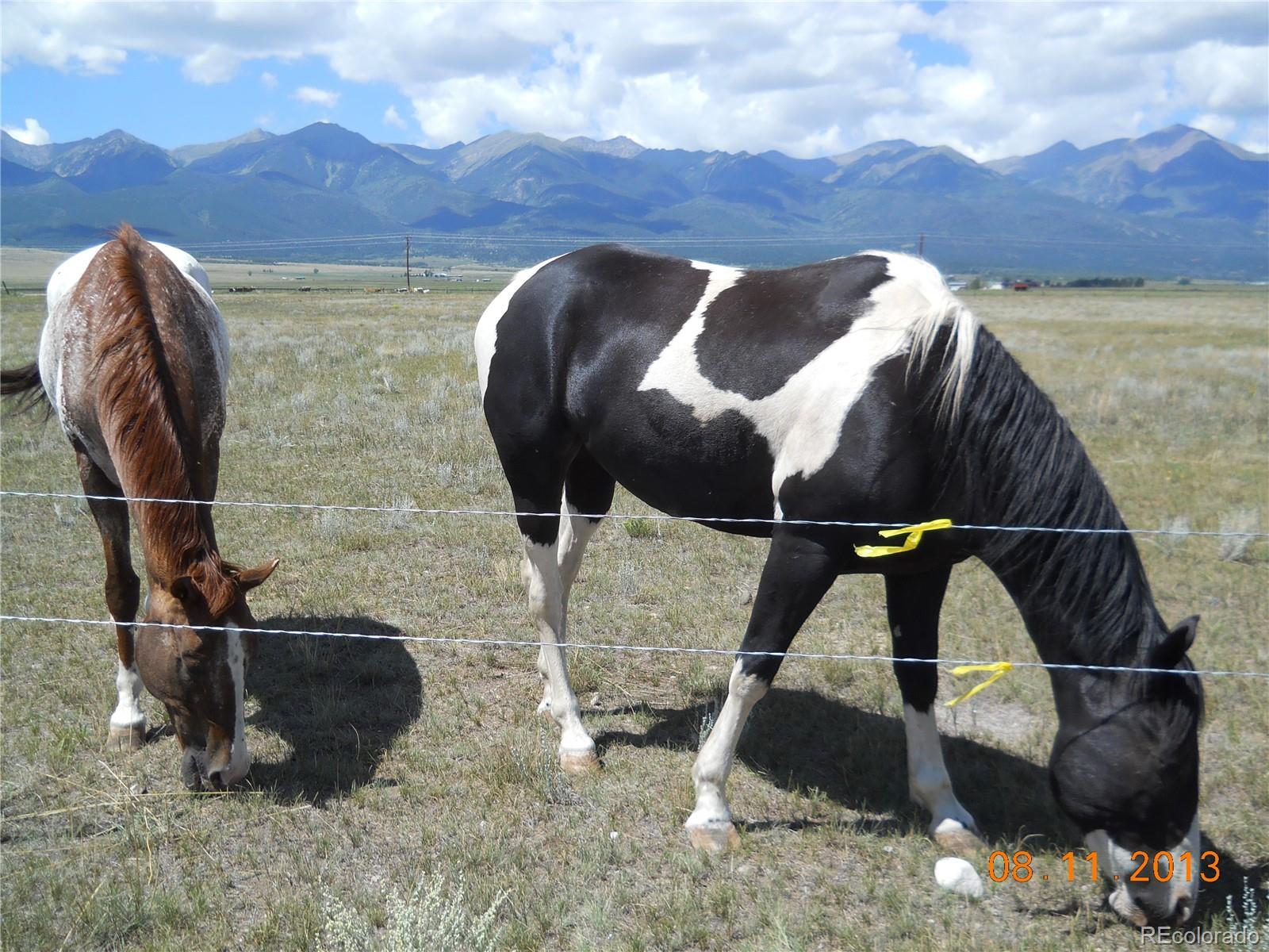 MLS Image #48 for 2020  county road 136 ,westcliffe, Colorado