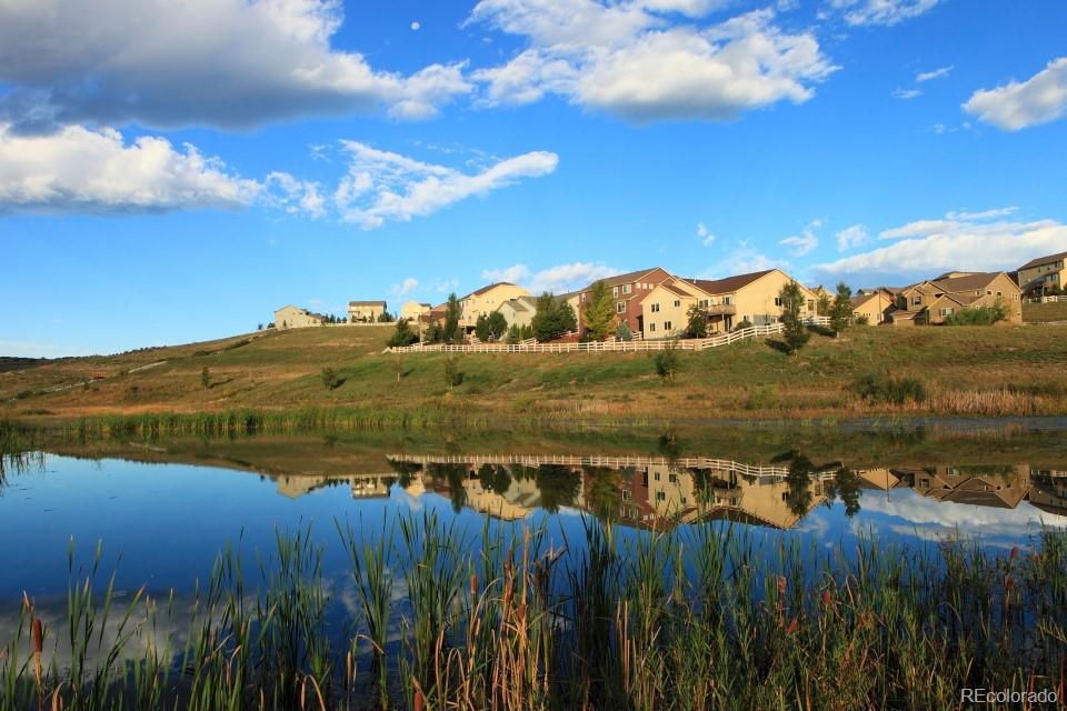 MLS Image #18 for 1558  hickory oaks point,castle rock, Colorado