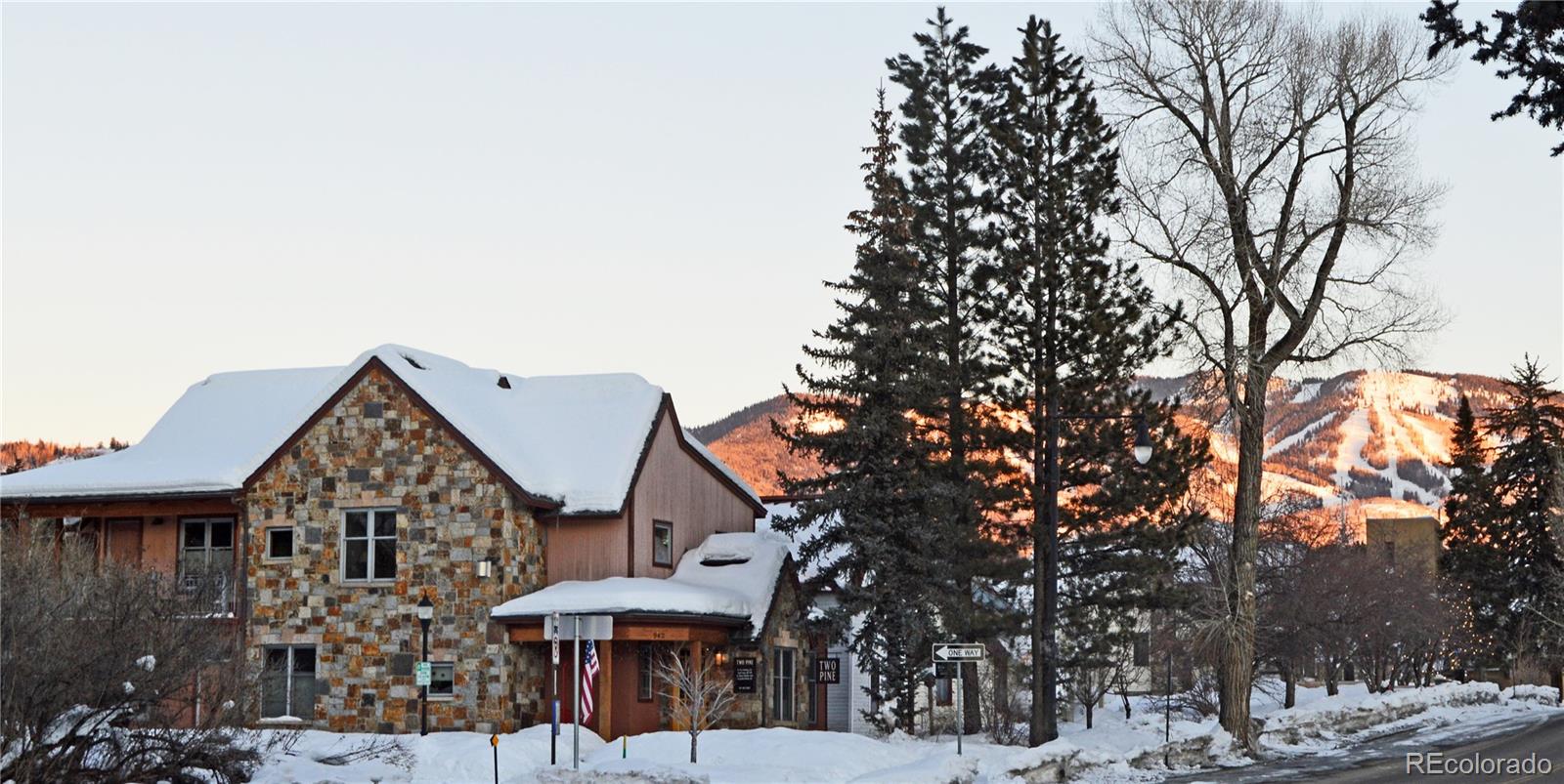 MLS Image #1 for 942  oak street,steamboat springs, Colorado