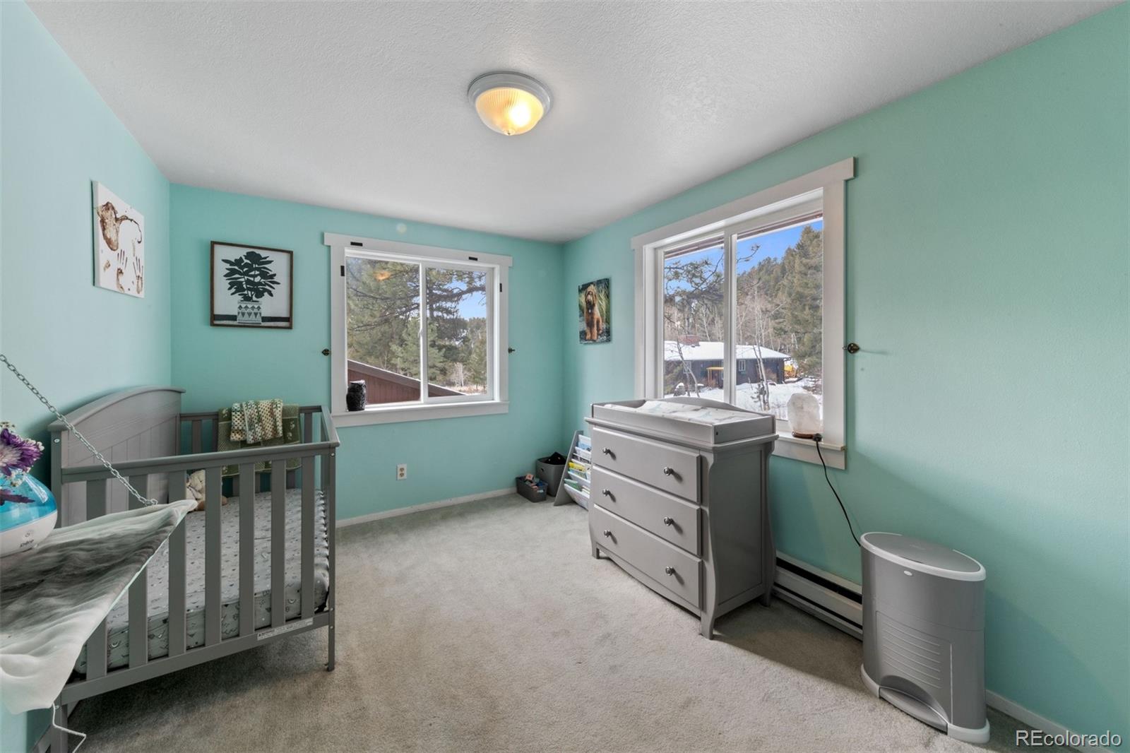 MLS Image #8 for 31168  witteman road,conifer, Colorado