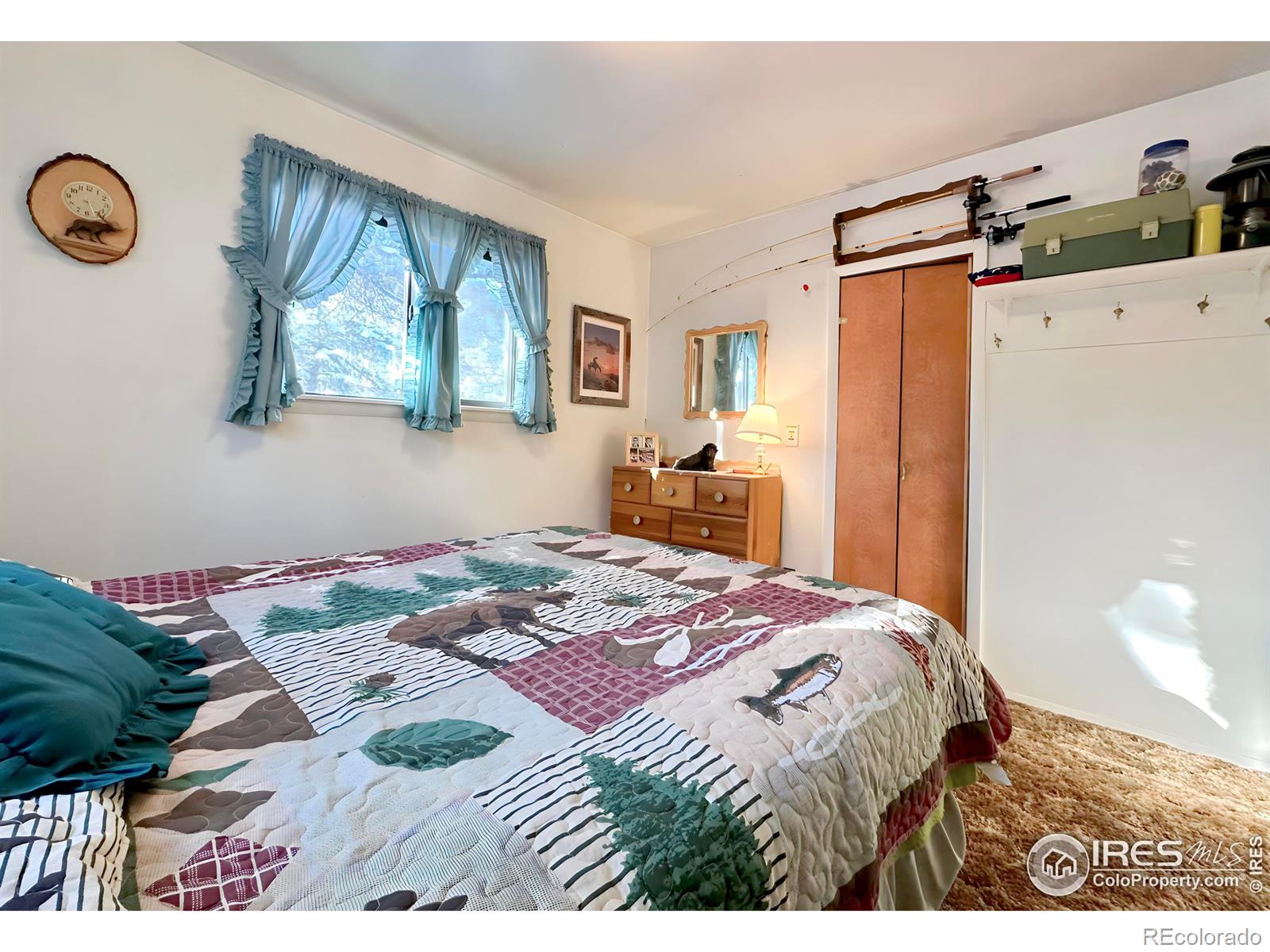 MLS Image #18 for 621  nokomis road,red feather lakes, Colorado