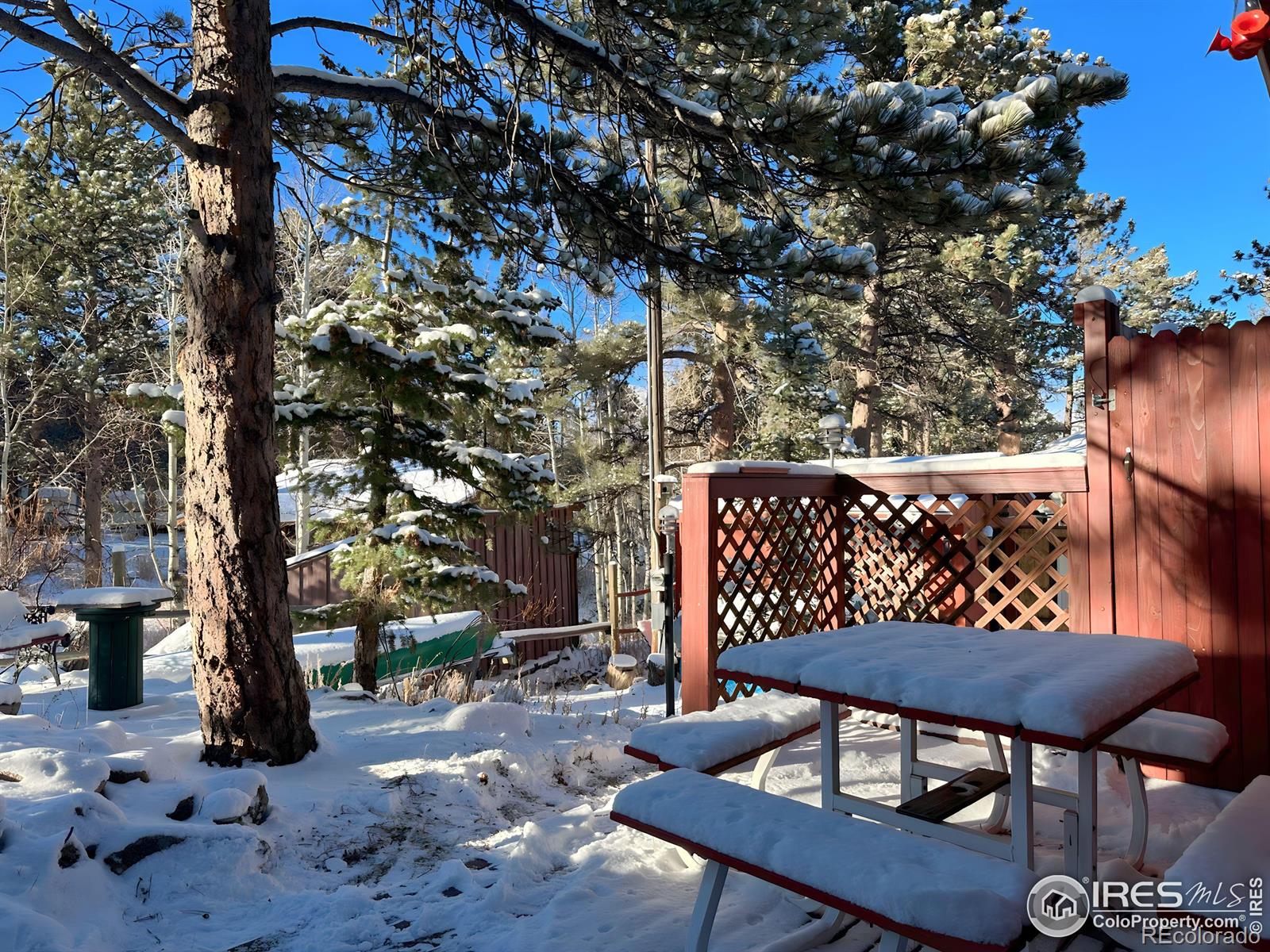MLS Image #6 for 621  nokomis road,red feather lakes, Colorado