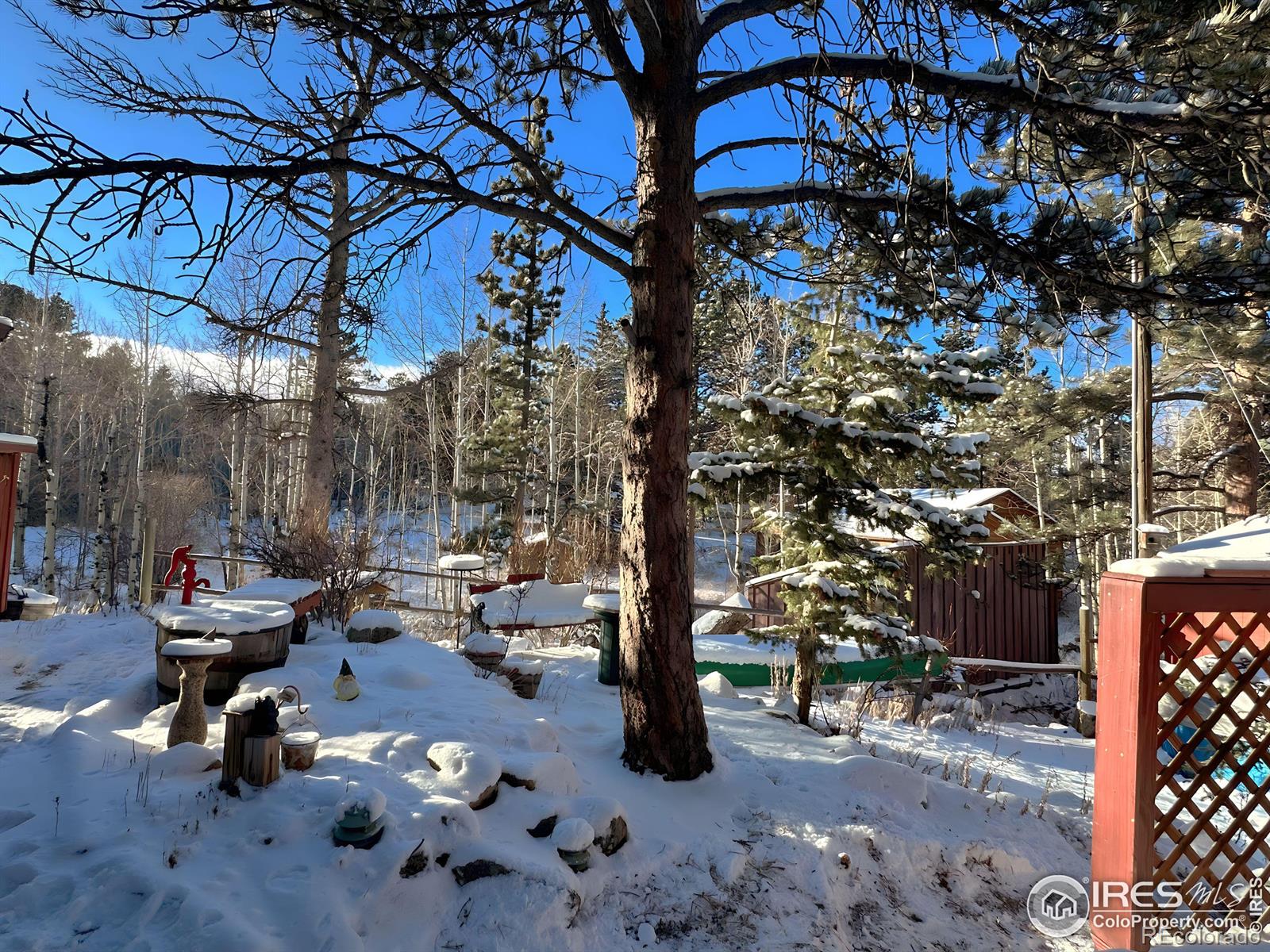 MLS Image #7 for 621  nokomis road,red feather lakes, Colorado