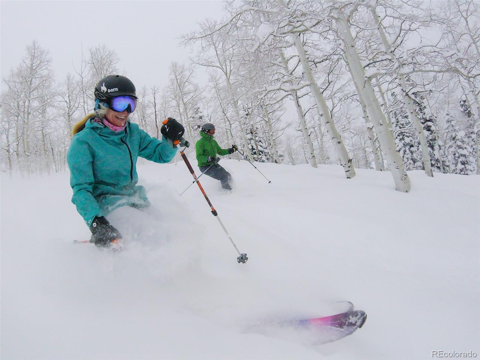 MLS Image #28 for 45  6th street,steamboat springs, Colorado