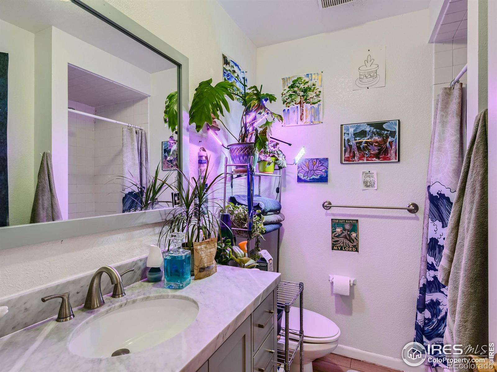 MLS Image #9 for 517  crestmore place,fort collins, Colorado