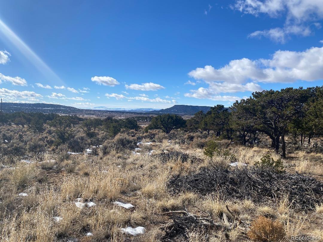 MLS Image #10 for 7166  fernow road,fort garland, Colorado