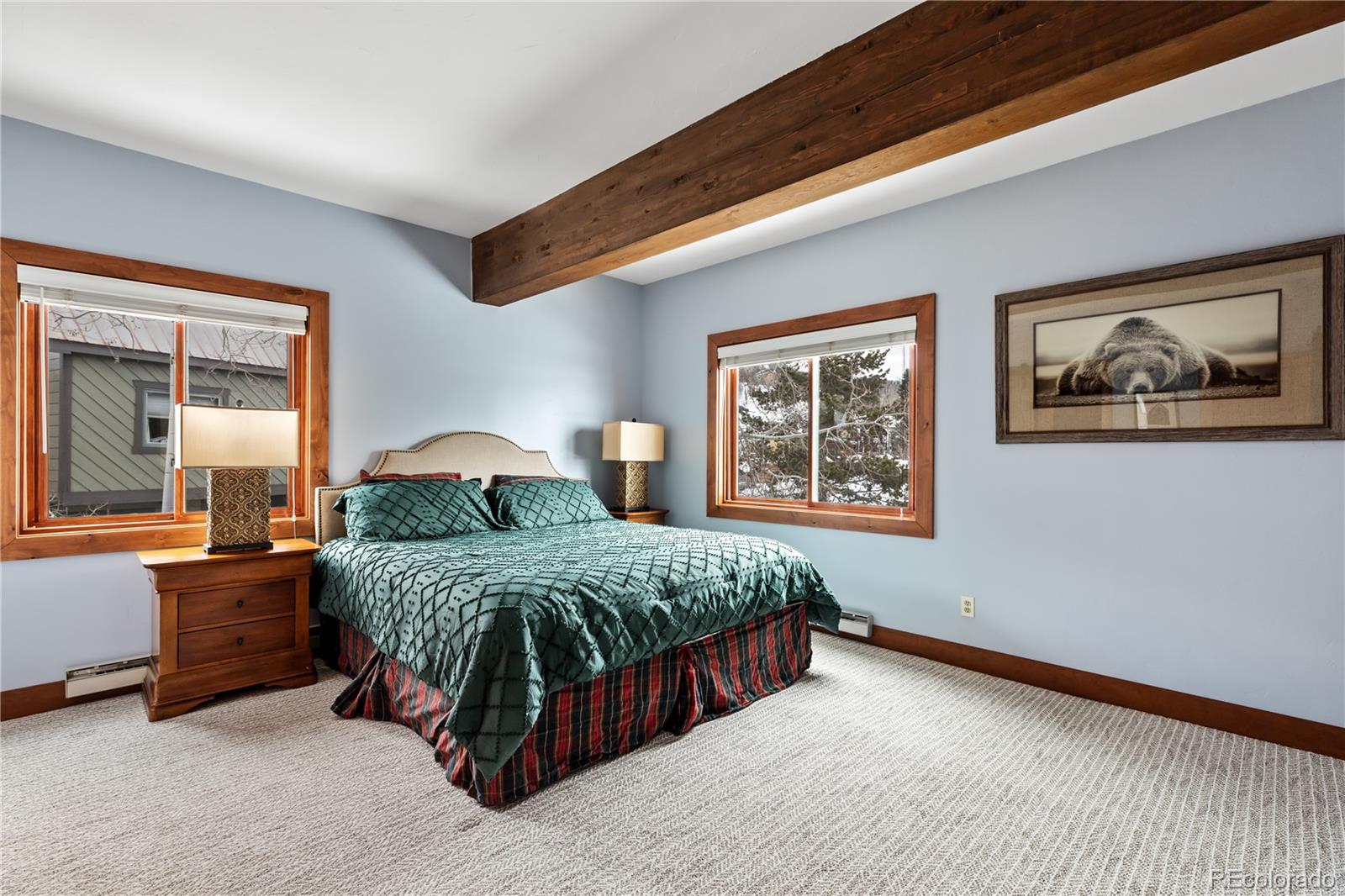 MLS Image #16 for 2650  medicine springs drive,steamboat springs, Colorado