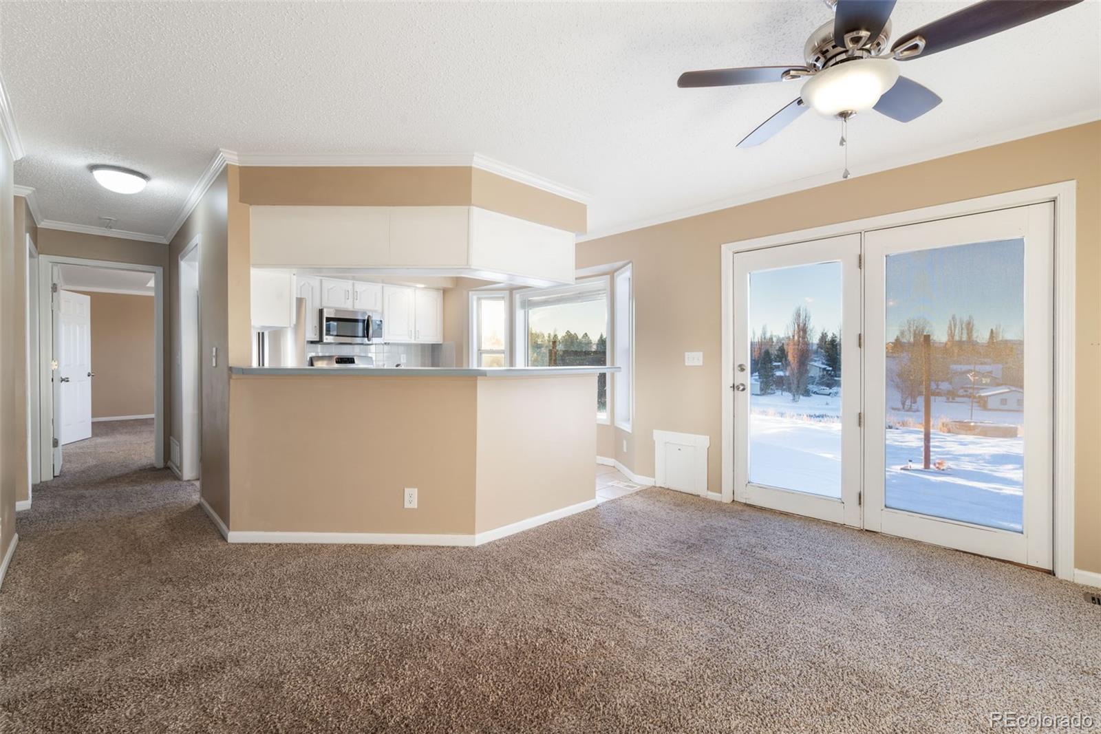 MLS Image #6 for 284  harvest court,hayden, Colorado