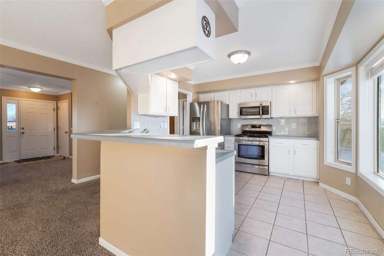 MLS Image #7 for 284  harvest court,hayden, Colorado