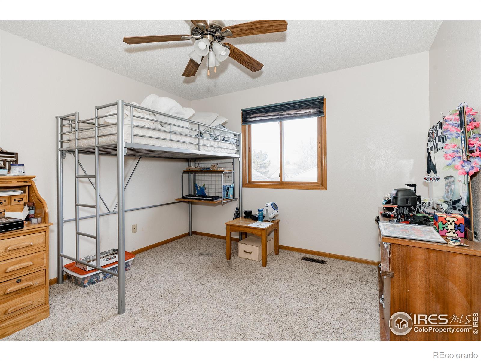 MLS Image #16 for 1050  meadow place,loveland, Colorado