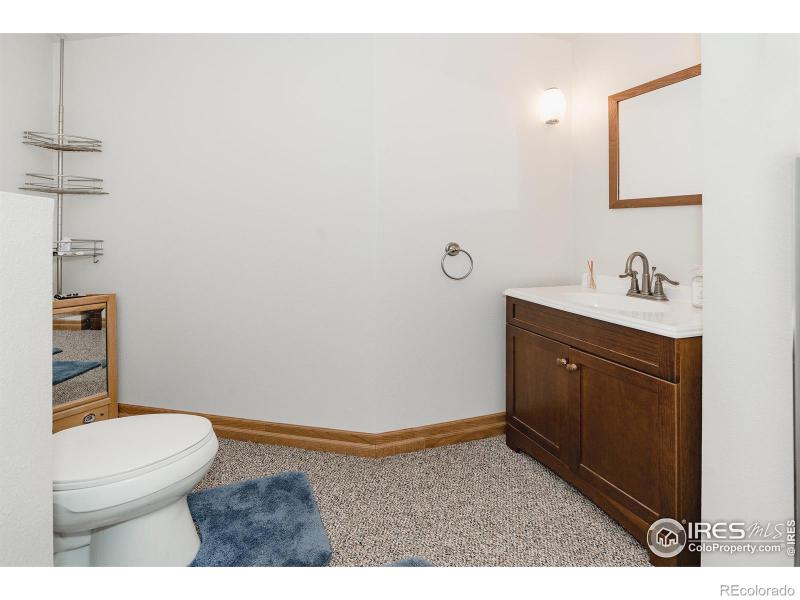 MLS Image #21 for 1050  meadow place,loveland, Colorado