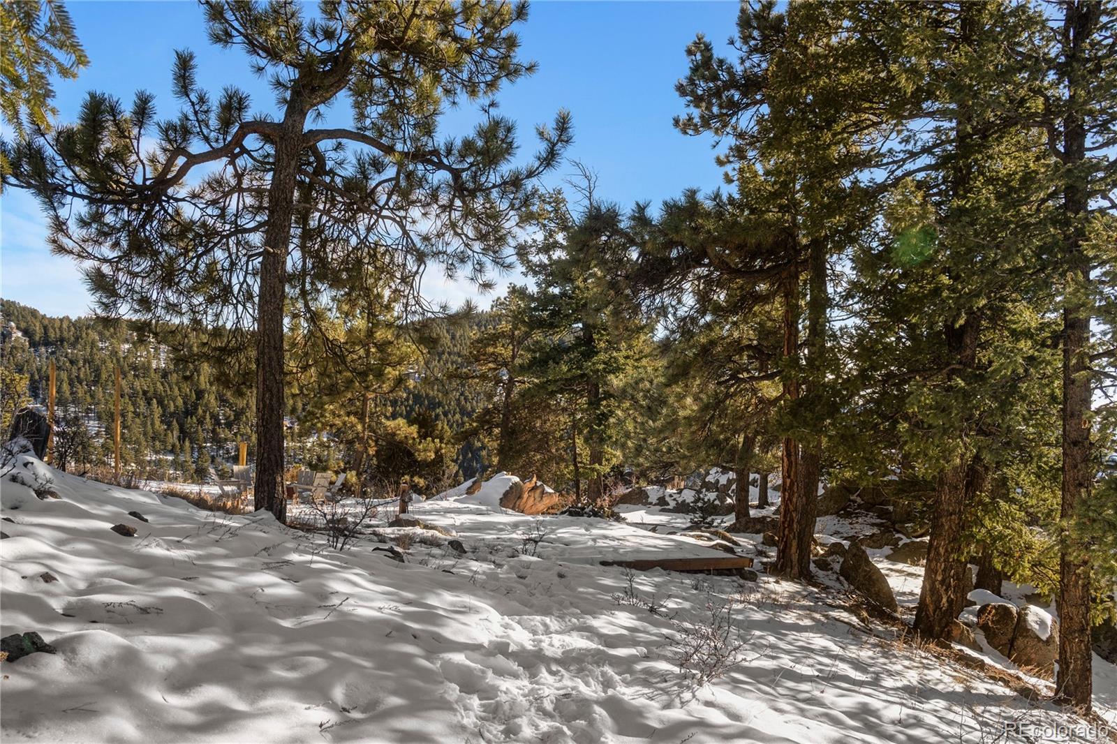 MLS Image #19 for 25901  independence trail,evergreen, Colorado
