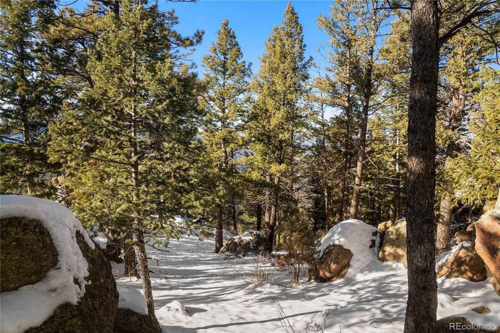 MLS Image #20 for 25901  independence trail,evergreen, Colorado