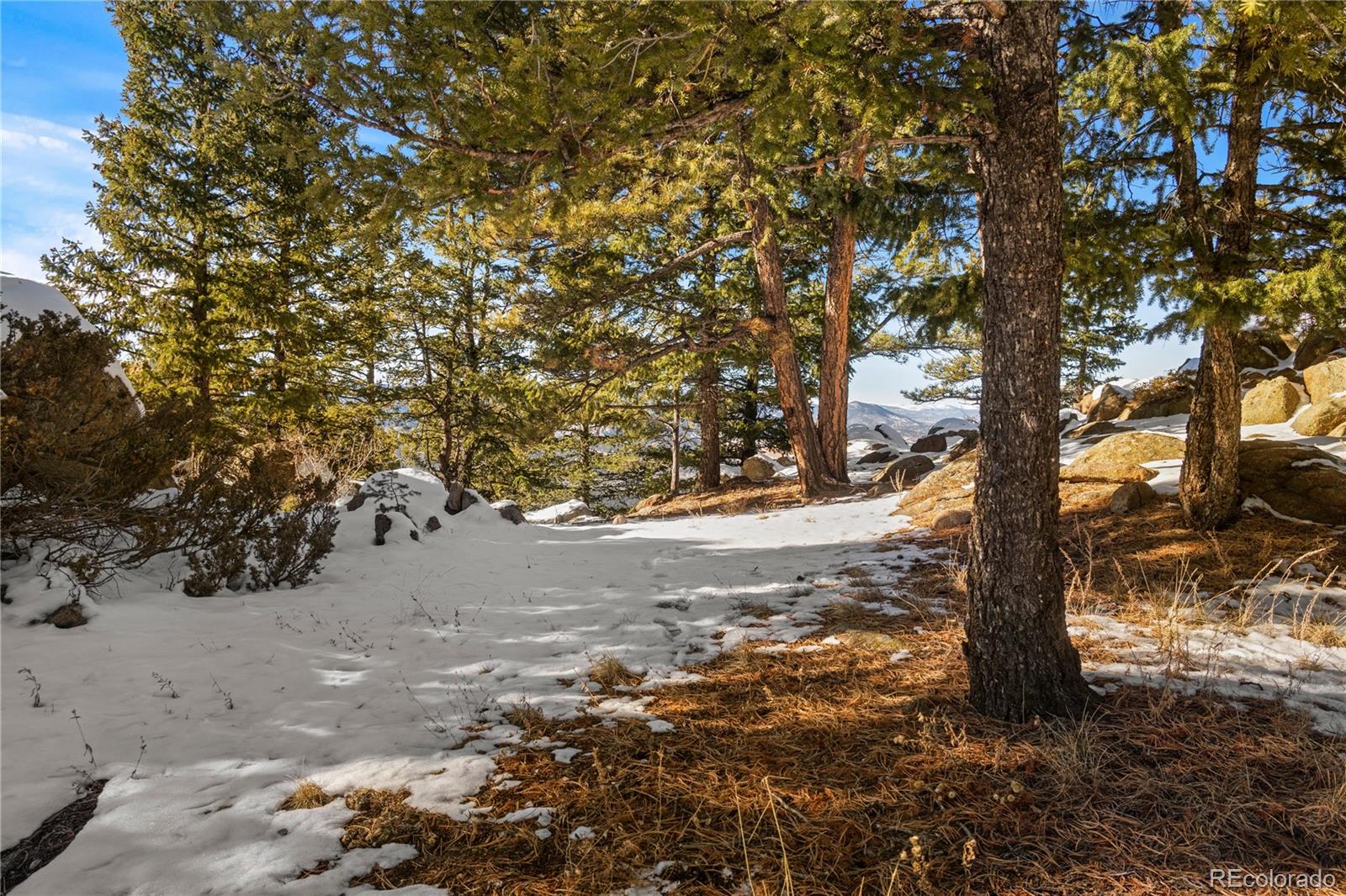 MLS Image #21 for 25901  independence trail,evergreen, Colorado