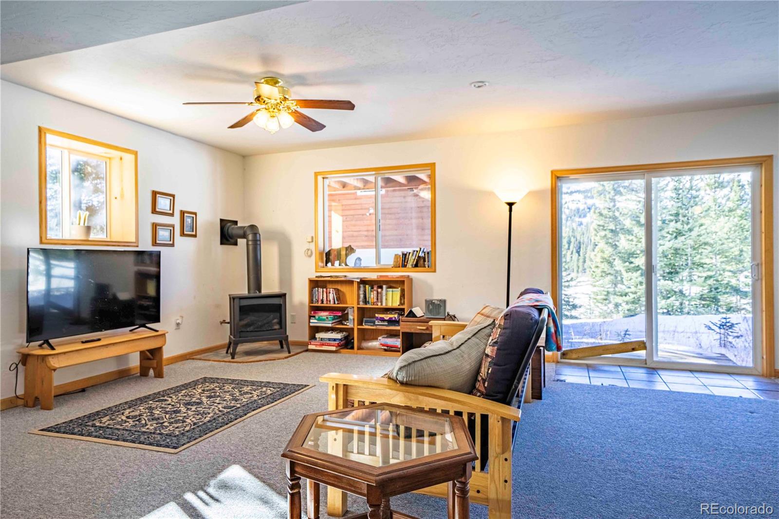 MLS Image #13 for 5272  timberline terrace,fairplay, Colorado