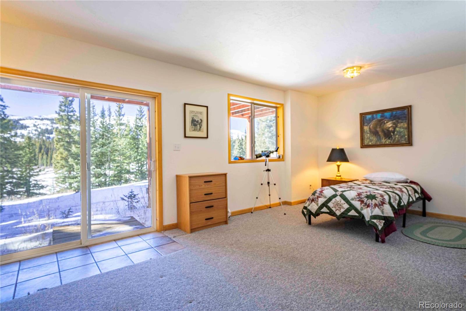 MLS Image #14 for 5272  timberline terrace,fairplay, Colorado