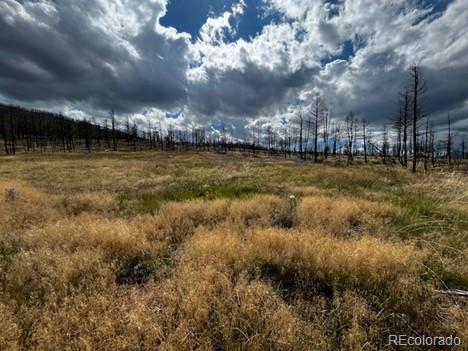 MLS Image #18 for 442  forbes park road,fort garland, Colorado