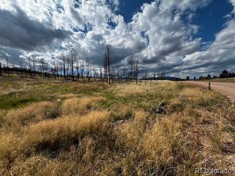 MLS Image #23 for 442  forbes park road,fort garland, Colorado