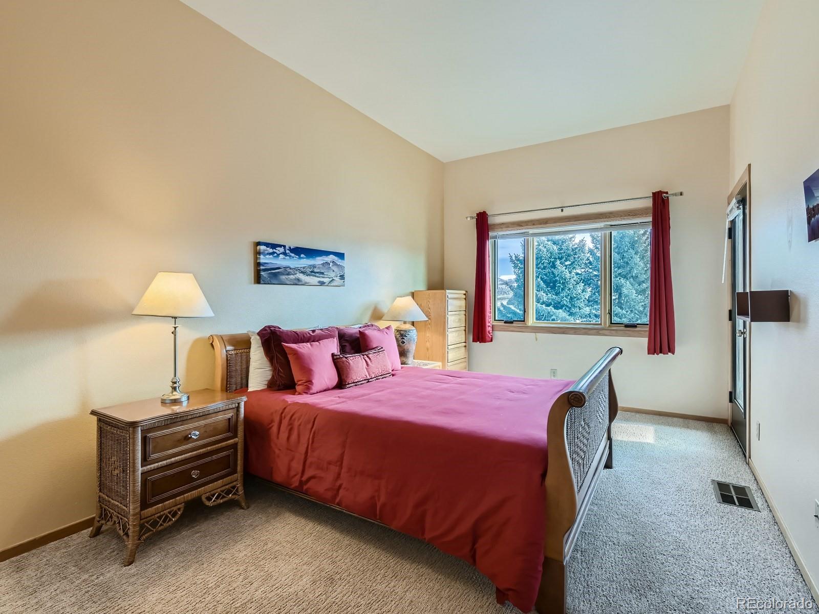 MLS Image #15 for 1650  lakeview terrace,frisco, Colorado
