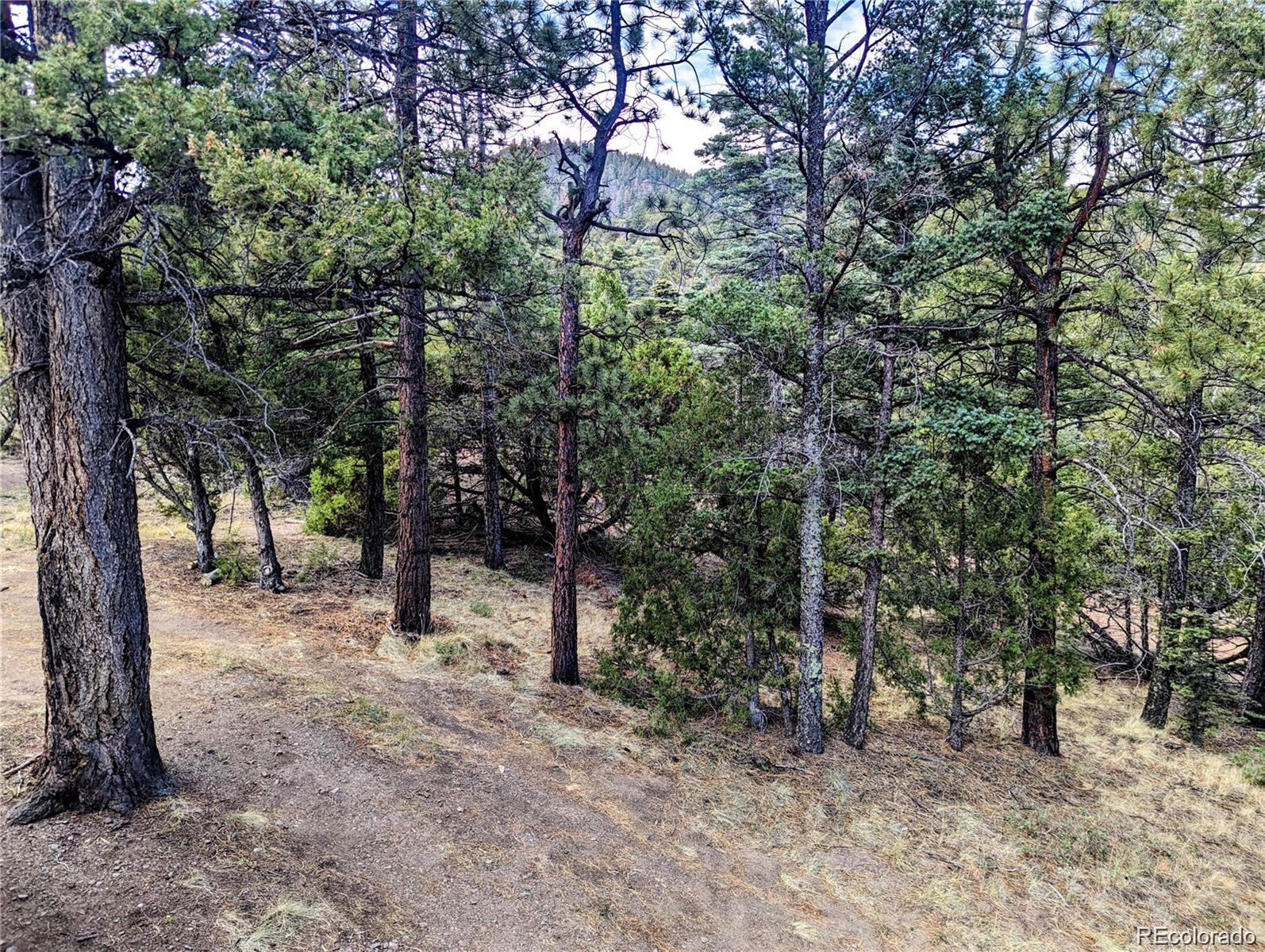 MLS Image #29 for lot 5022  jensen road,fort garland, Colorado