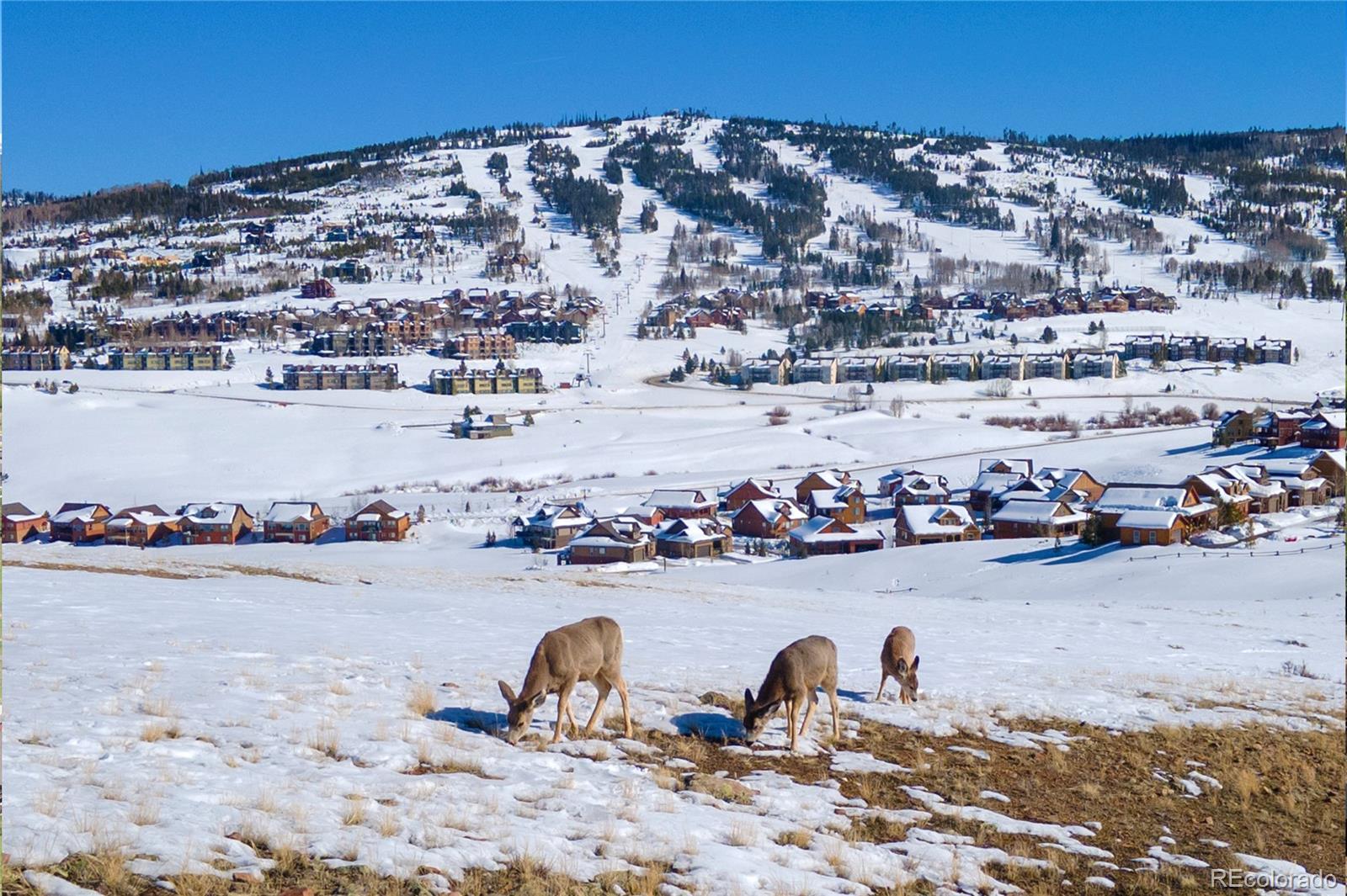 MLS Image #27 for 561  upper ranch view road,granby, Colorado