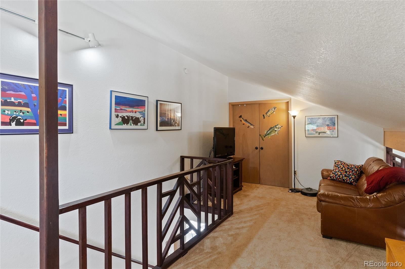 MLS Image #22 for 161  spruce street,steamboat springs, Colorado