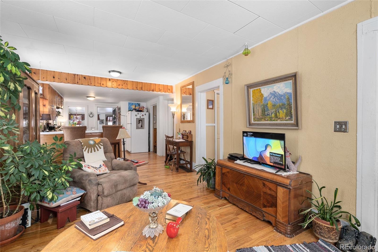 MLS Image #7 for 245 s chestnut street,hayden, Colorado