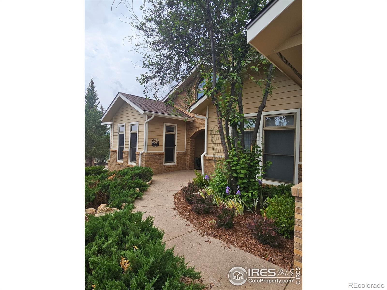 MLS Image #1 for 641  findley court,estes park, Colorado