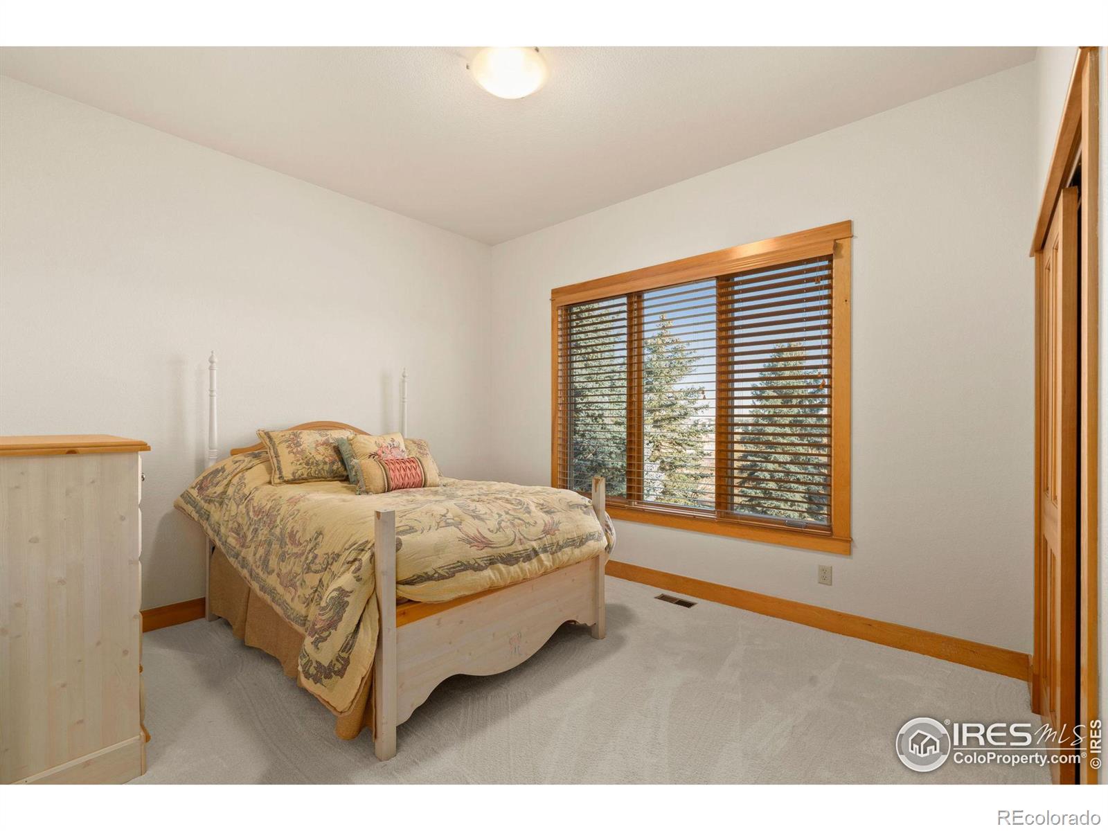 MLS Image #20 for 1224  wyndham hill road,fort collins, Colorado