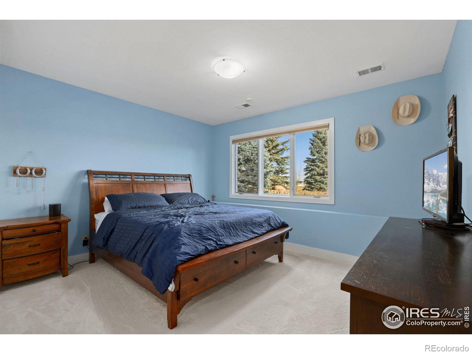 MLS Image #29 for 1224  wyndham hill road,fort collins, Colorado