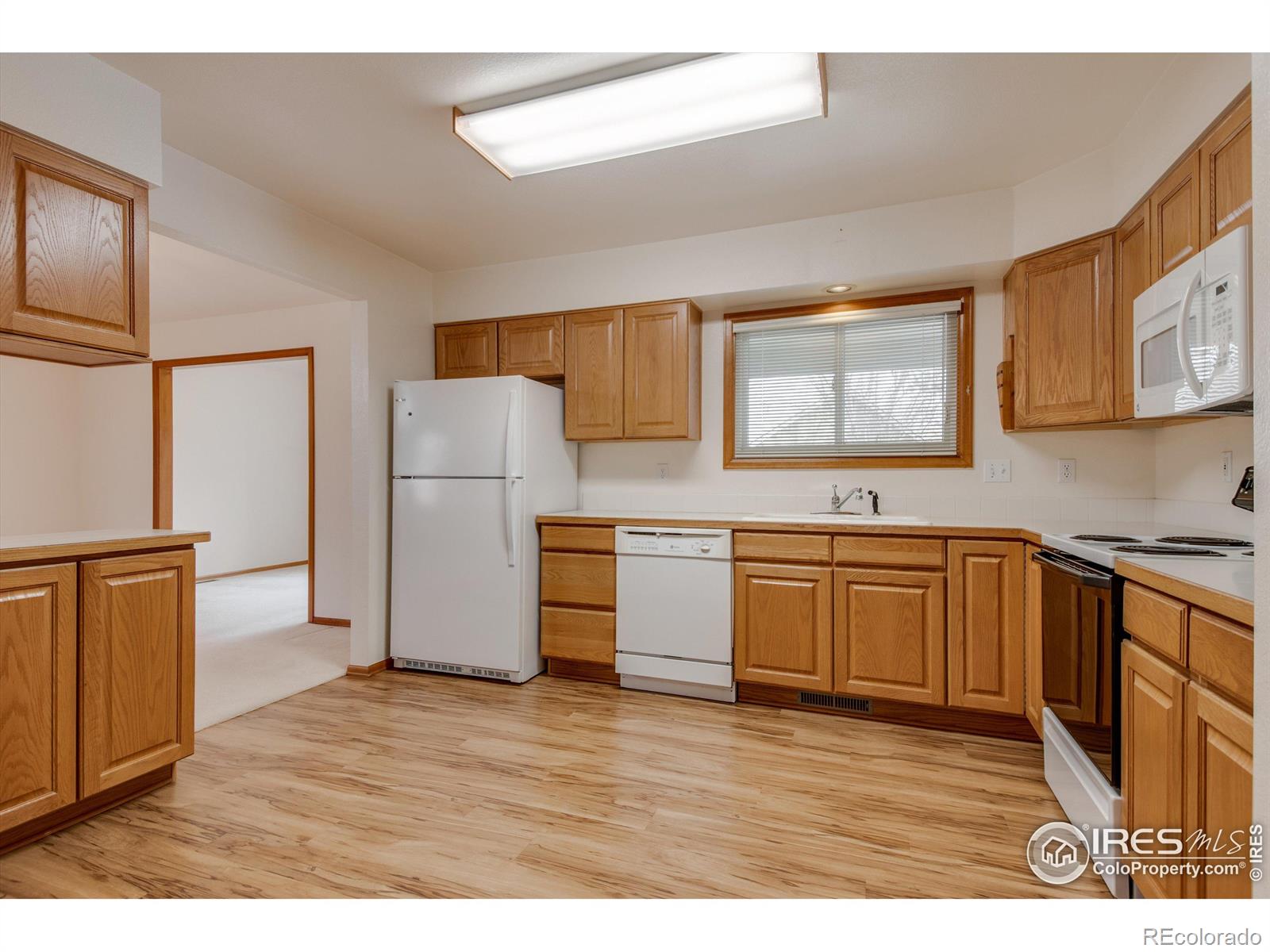 MLS Image #15 for 1602  spencer street,longmont, Colorado