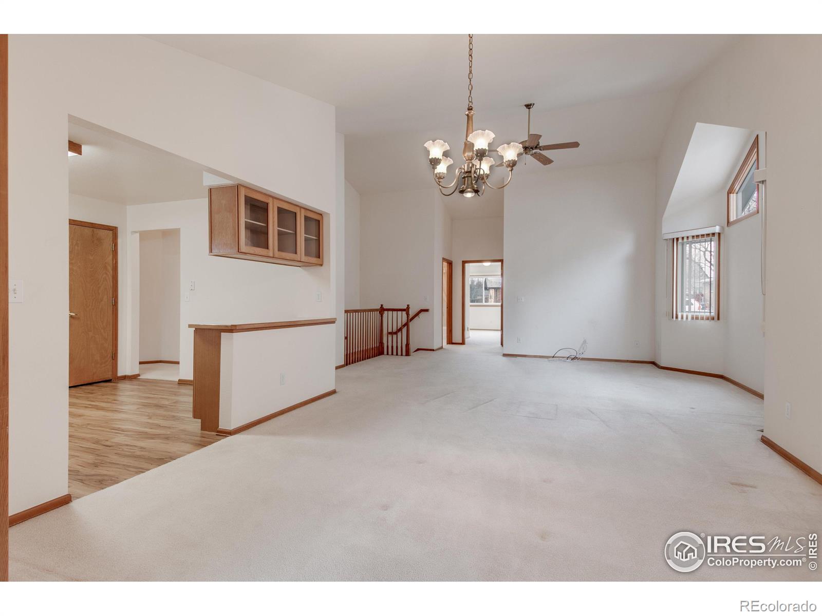 MLS Image #18 for 1602  spencer street,longmont, Colorado