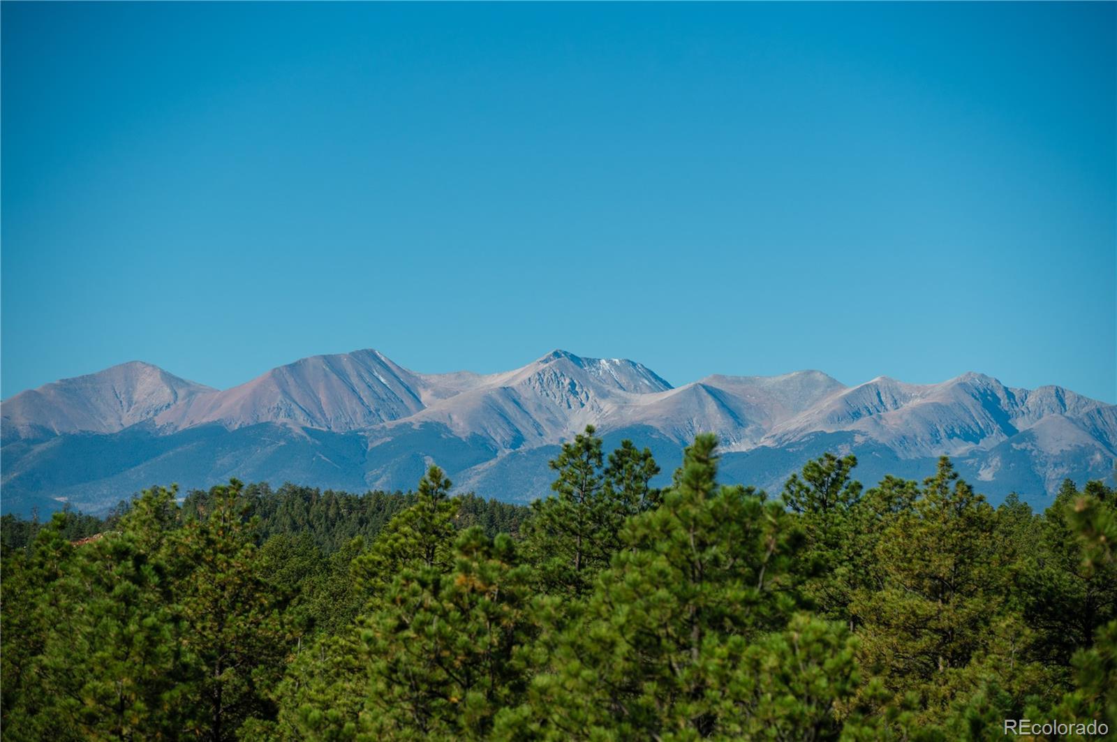 MLS Image #49 for 17680  whispering pines trail,boncarbo, Colorado