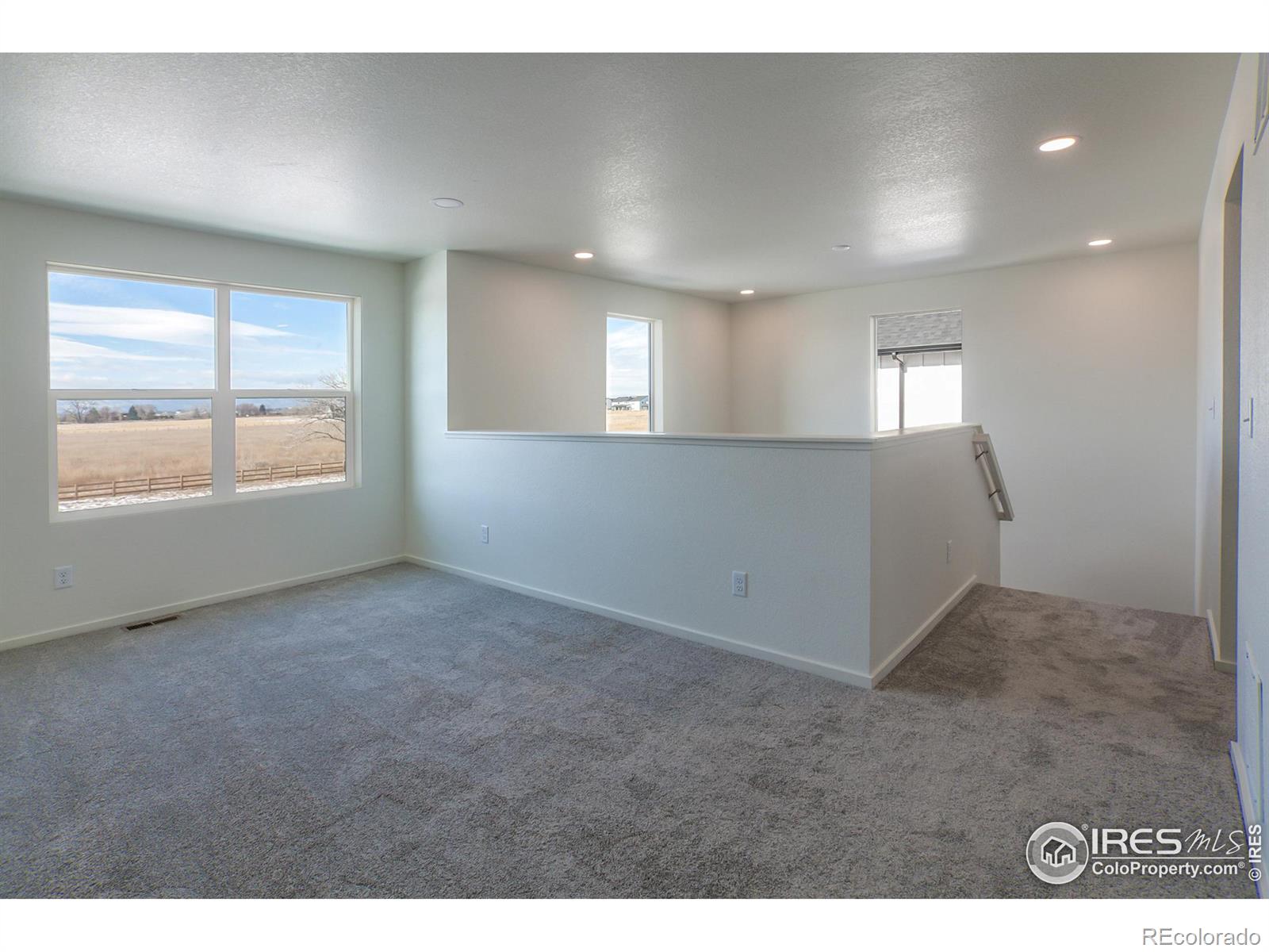 MLS Image #21 for 5264  blainville street,timnath, Colorado