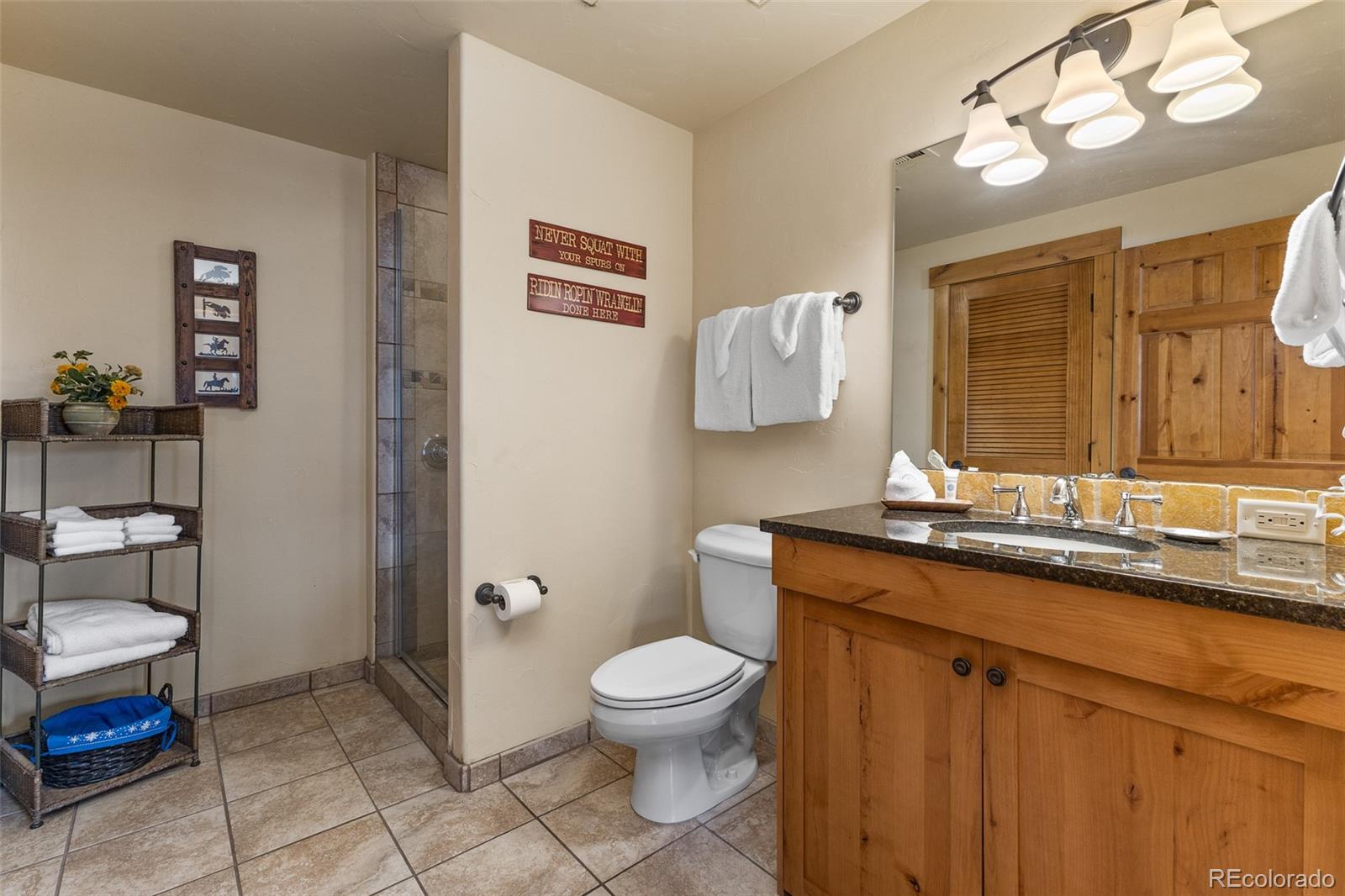 MLS Image #10 for 1875  medicine springs drive,steamboat springs, Colorado