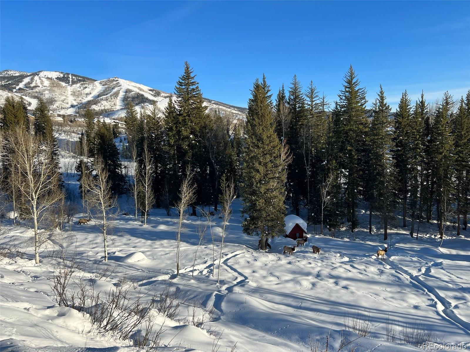 MLS Image #28 for 747  anglers pond ,steamboat springs, Colorado