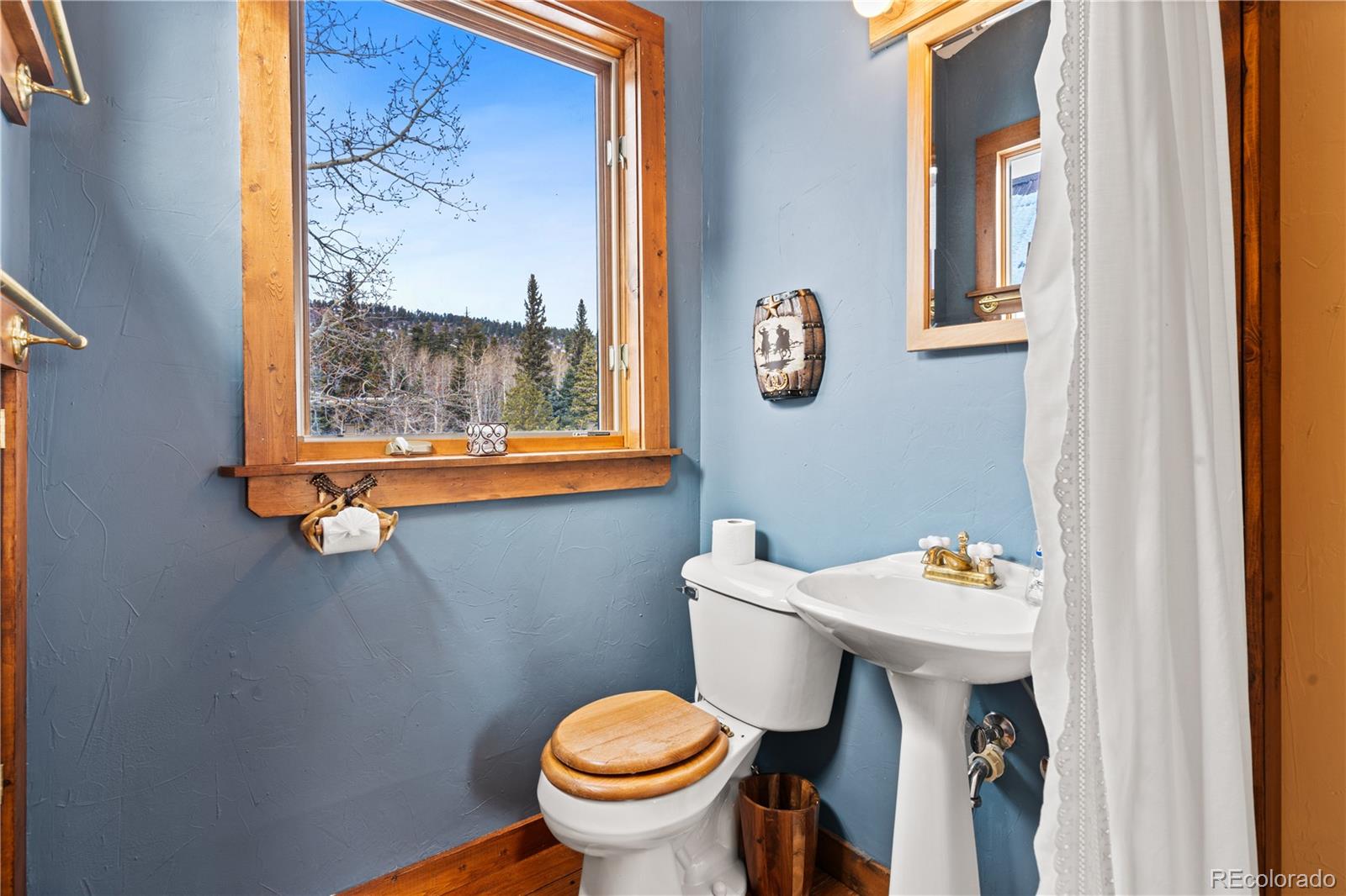 MLS Image #24 for 747  chalice drive,westcliffe, Colorado