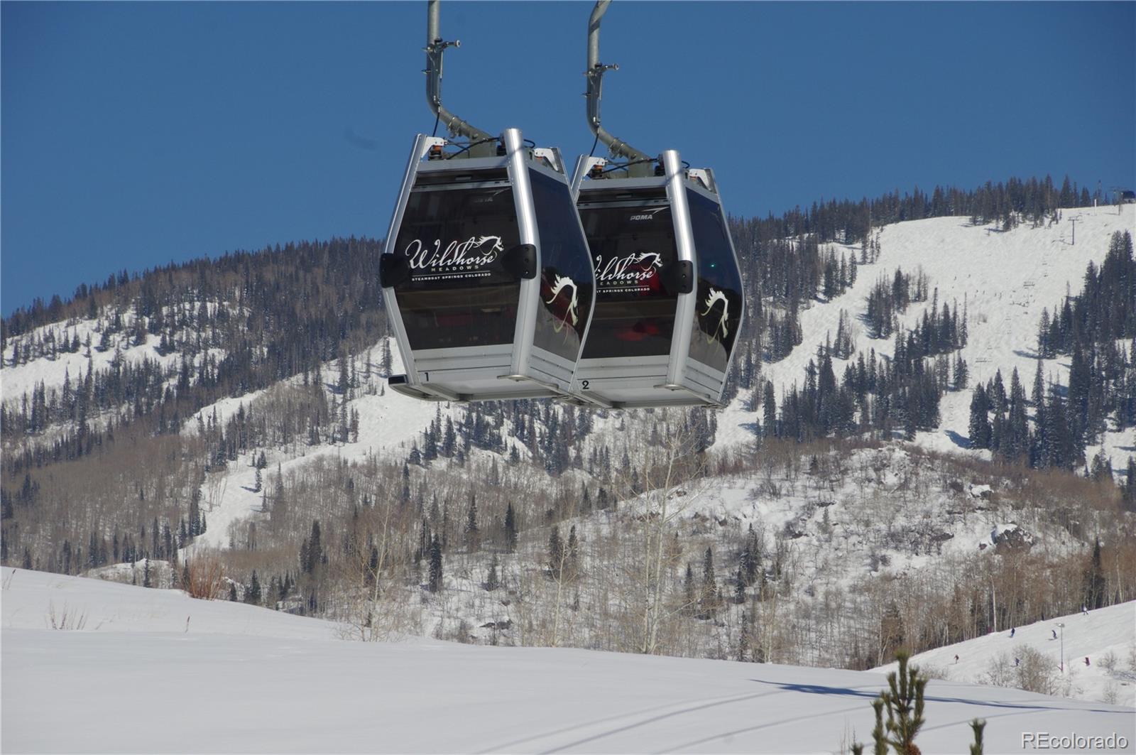 MLS Image #10 for 2554  cattle kate circle,steamboat springs, Colorado