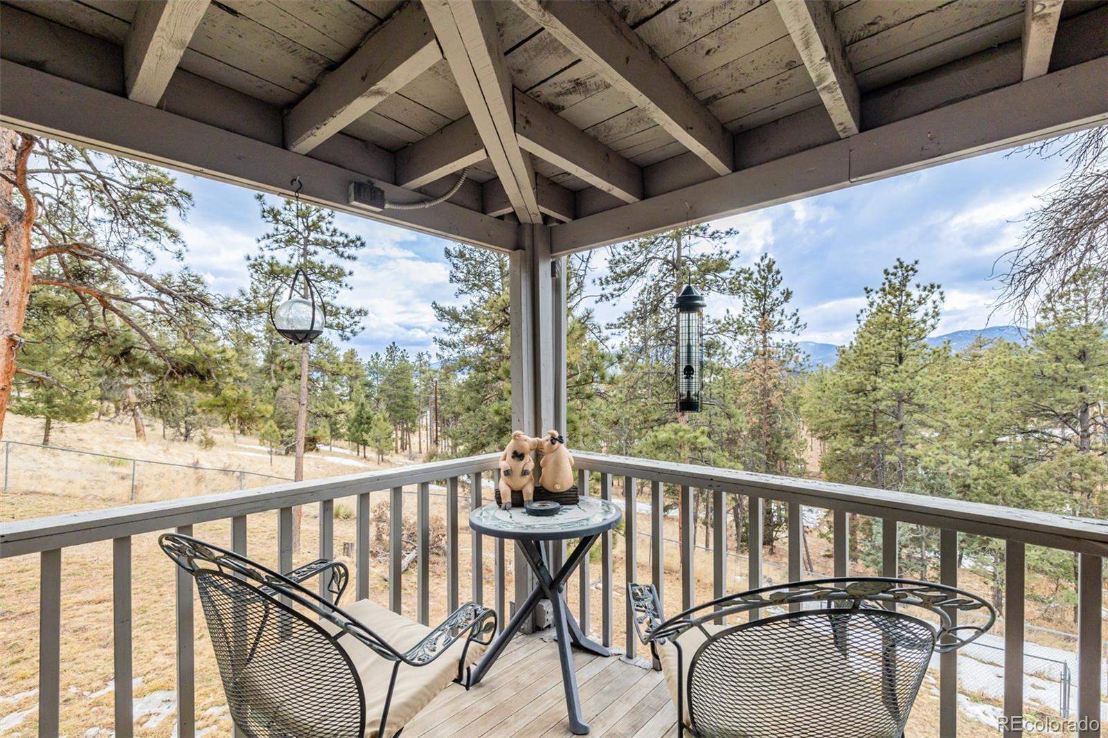 MLS Image #16 for 15544 s wandcrest drive,pine, Colorado