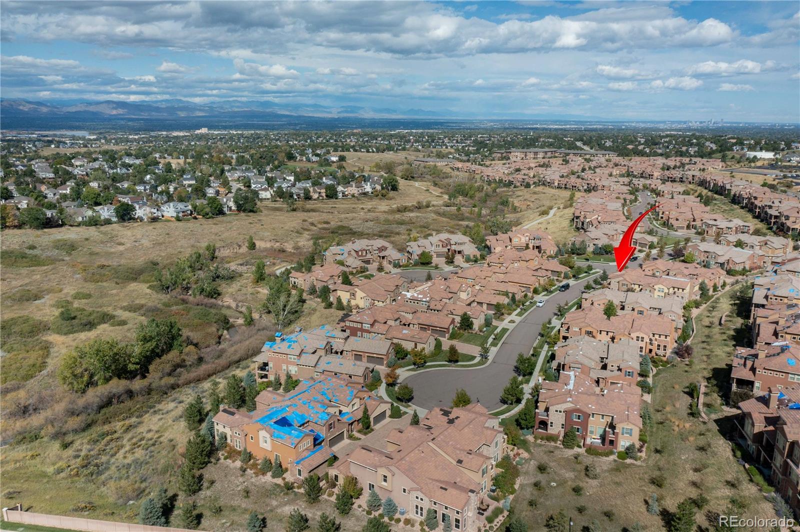 MLS Image #8 for 9550  firenze way,highlands ranch, Colorado