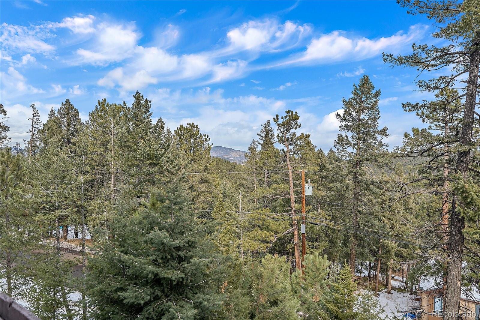 MLS Image #30 for 30162  pine crest drive,evergreen, Colorado