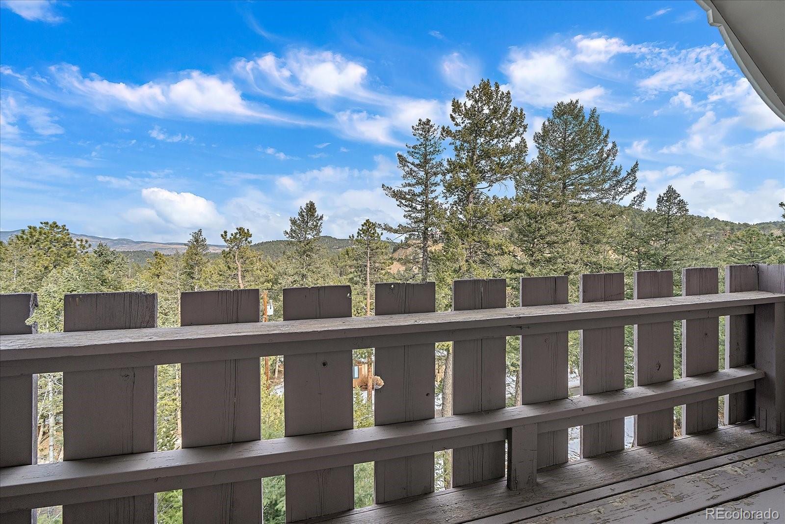 MLS Image #31 for 30162  pine crest drive,evergreen, Colorado